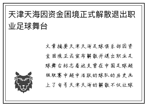 天津天海因资金困境正式解散退出职业足球舞台